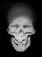 Memento mori from "Death and the Maiden" series, 2020, oil painting on canvas, 110x90 cm, 2020