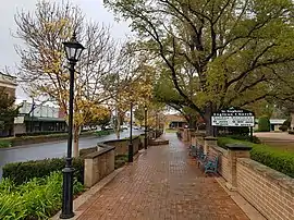 Elms supplied as 'Cornubiensis' but not type-'Stricta', St. Stephen's Church, Mittagong, NSW