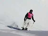 Brayden Willmott at Slopestyle