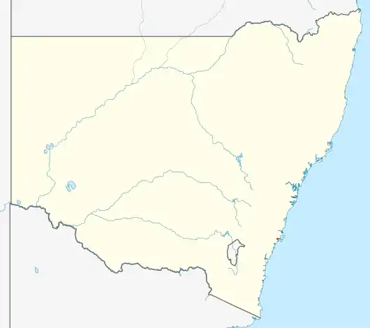 Lyndhurst is located in New South Wales