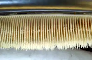 Photo displaying dozens of baleen plates. The plates face each other, and are evenly spaced at approximately 0.25 inches (1 cm) intervals. The plates are attached to the jaw at the top, and have hairs at the bottom end.