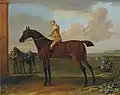 Bay Wanton, on Newmarket Heath with jockey up, 1725, by John Wootton, possibly a son of Bay Bolton and inscribed (but possibly not) 'The property of Charles Paulett, 3rd Duke of Bolton'.