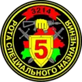 Special Forces Company patch