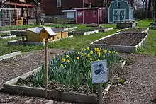 Bell Demonstration and Community Garden, Gateway Greening, St. Louis, MO.