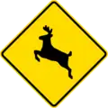 Deer crossing