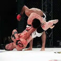 Image 44MMA fighter attempts a Triangle-Armbar submission on his opponent. (from Mixed martial arts)