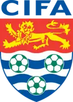 Shirt badge/Association crest