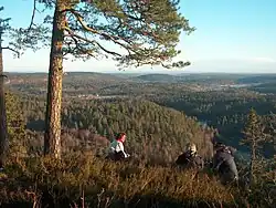 View of Andebu seen from Dalaåsen. Andebu is mainly forests and lakes. (Photo: Gunnar Gallis)