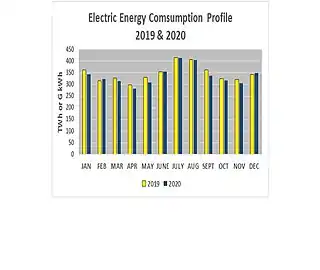 Electric Energy Consumption Profile 2019 & 2020