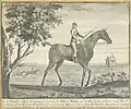 Fearnought, Fear-Nought, a horse belonging to the Duke of Bolton, got by Bay Bolton, foaled 1725, print after John Wootton.