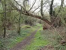 Wraysbury and Hythe End Gravel Pits