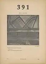 Francis Picabia, Peigne, Miroir de l'Apparence, 391, n. 2, February 10, 1917