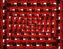 collage by Elizabeth Gill Lui