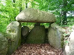 Megalithic tomb (Großsteingräber bei Flehm&nbsp;[de]) in Högsdorf