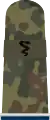 Sanitätssoldat SanOA(Army Medical Officer Candidate with the equivalent rank of private E2)