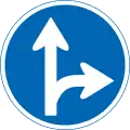 Straight ahead or right turn permitted
