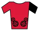 Red jersey
