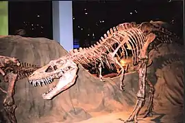 Albertasaurus