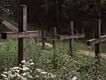 Kuropaty mass grave site near Minsk, Belarus