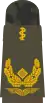 Generalarzt(human medicine)