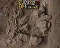 Burial 22. Excavation at exposition 4.