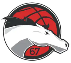 Leicester Riders logo