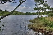 Loch a' Mhuilinn, a small lochan in the middle of the peninsula