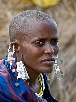 Image 10Maasai peoplePhoto: William WarbyPortrait of a Maasai woman, with shaved head, stretched earlobes, and beaded adornments, typical of the Maasai culture. The Maasai are a Nilotic ethnic group of semi-nomadic people located in Kenya and northern Tanzania. They are among the best known of African ethnic groups, due to their distinctive customs and dress and residence near the many game parks of East Africa. Their primary language Maa (ɔl Maa) is a member of the Nilo-Saharan language family that is related to Dinka and Nuer.More selected pictures