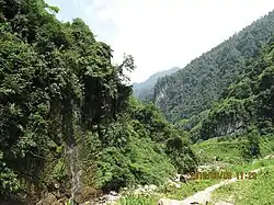 Dafengding Nature Reserve