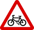 Cyclist