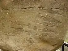 Engravings of Remedello-type daggers at Valcamonica