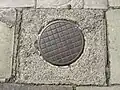 Ornate coal hole cover