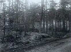 The railway ~ before 1920 (Drève des Deux Montagnes).