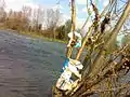 Polluted Sava River