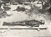 Skeleton of king Tabnit