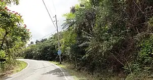 PR-505 traveling eastbound in Barrio San Patricio, Ponce, Puerto Rico