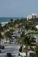 Palm trees along Deerfield Beach