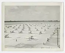 Photograph of airplanes at the Bainbridge Army Airfield, 1944