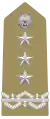 Generale di Corpo d'Armata(Tenente Generale)(Italian Army)