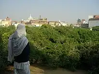 View of Seva Kunj adjoining Nidhivan