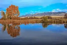 Fall colors along MT 287 in October 2013