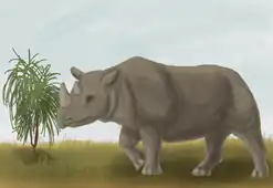 life restoration