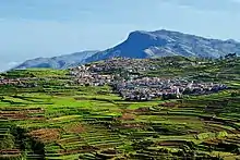 Terraced farming in Kodaikanal