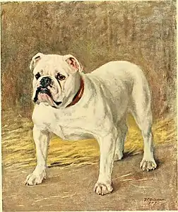 Silent Duchess, from Leighton (1911)