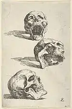 Three Human Skulls (1662), 14.2 × 9.2&nbsp;cm.