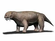 Restoration Tiarajudens.