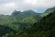 Los Picachos (left) and El Yunque (right) covered in fog.