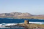 Asinara island with the Aragonese Torre della Pelosa (16th century), Sardinia.