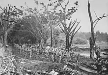 Marines in combat equipment marching along a track which is lined with trees, some of which have been stripped of foliage