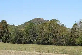 Vinyard Knob (high point 960') in the central portion of the Knobs Region of Kentucky.